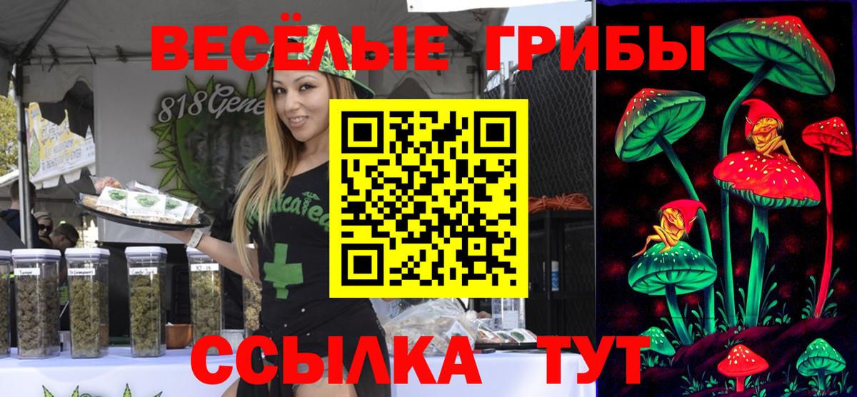 Галлюциногенные грибы прущие грибы Киров