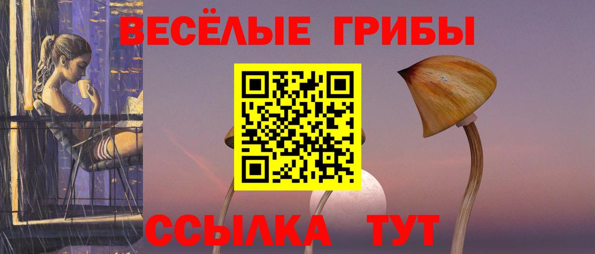 Киров  Галлюциногенные грибы GOLDEN TEACHER  Вход с VPN  Галлюциногенные грибы Magic Shrooms 